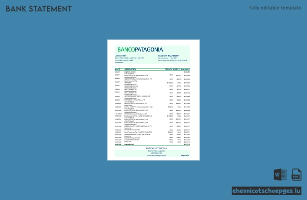 Argentinische Banco Patagonia: Beispiel eines Kontoauszugs (Excel-Datei, Vorschau)